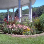 Thompson, CT Rain Garden