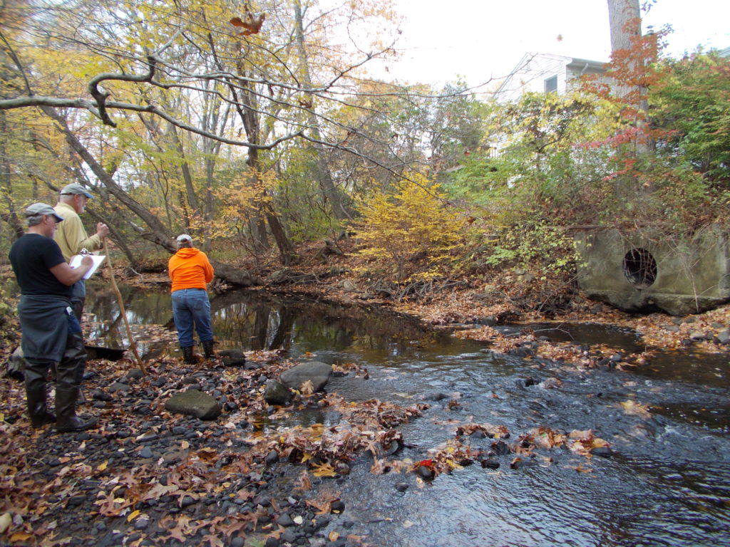 Stream Walk volunteers assess a stormwater outfall to Latimer Brook.