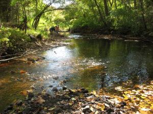 Riffles in Latimer Brook in East Lyme.