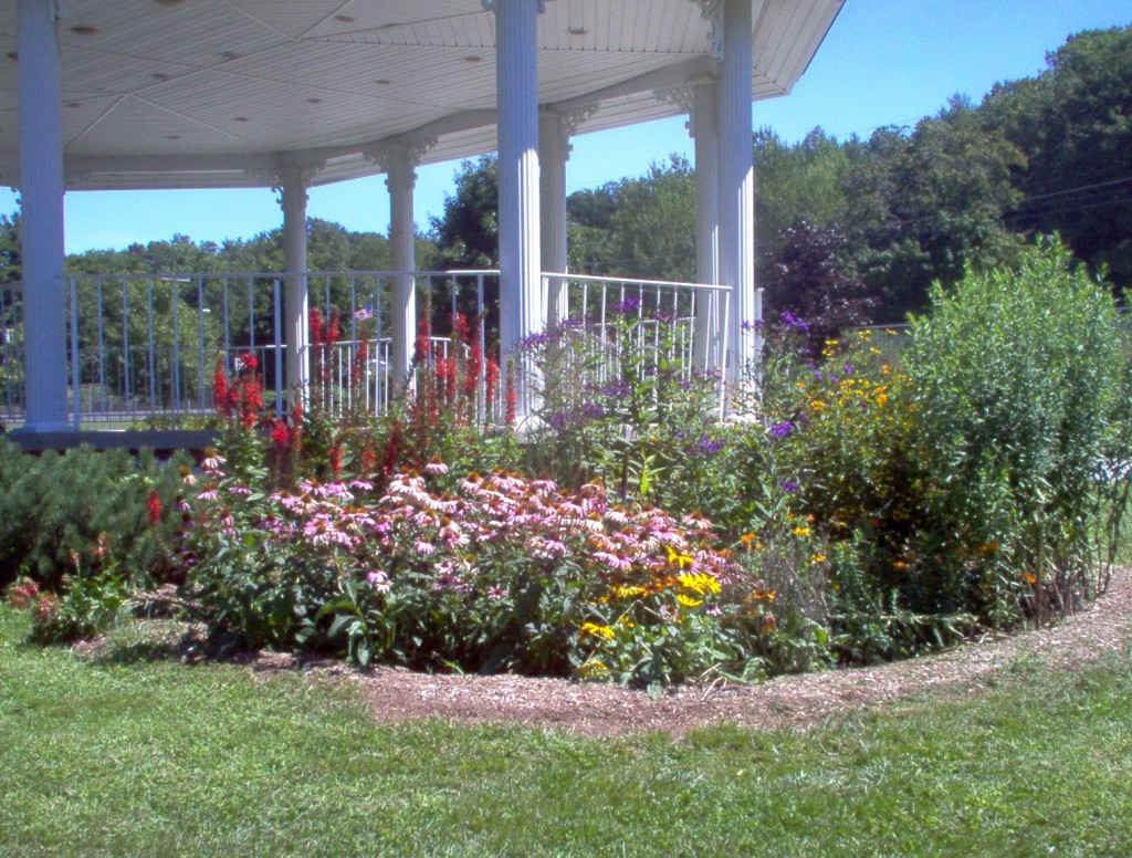 Rain gardens collect rain water and soak it into the ground, recharging our groundwater and keeping pollutants out of our rivers and streams.