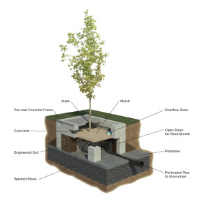 Schematic of a tree filter system depicting open frame concept and underdrain connection to nearby stormdrains.