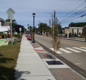 Tree filters along Pennsylvania Avenue in Niantic.