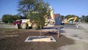 A tree filter installed along Mago Point Way at the CT DEEP overflow parking lot on Mago Point. 