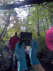 A local high school student compares a prepared sample to a blank while testing water quality in a local brook.